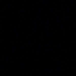 Meet your Posher, Josie